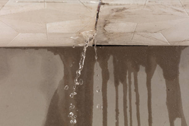 Professional Structural Drying technician working in Harrisville, MS